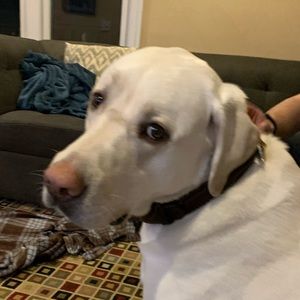 Meet your Posher, Doreen